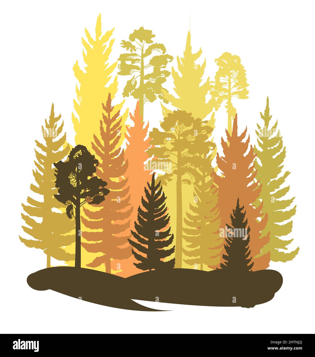 Scenografia silhouette foresta. Paesaggio con alberi di conifere. Splendida vista mattutina. Pino e abete rosso. Natura estiva. Illustrazione isolata Foto Stock