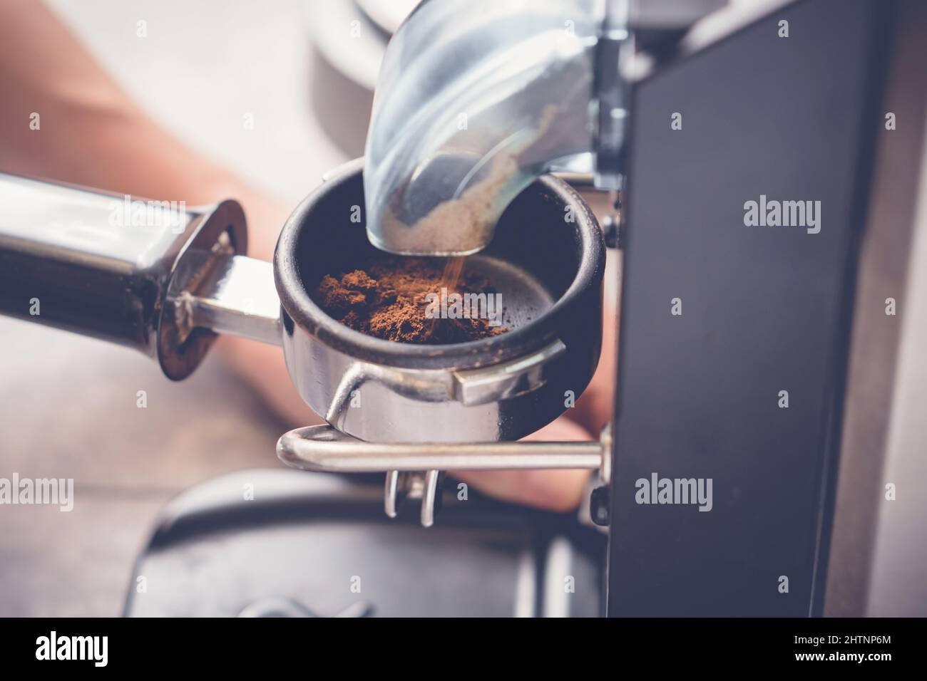 Versare il caffè macinato dalla macinacaffè nel portafiltro, closeup Foto Stock