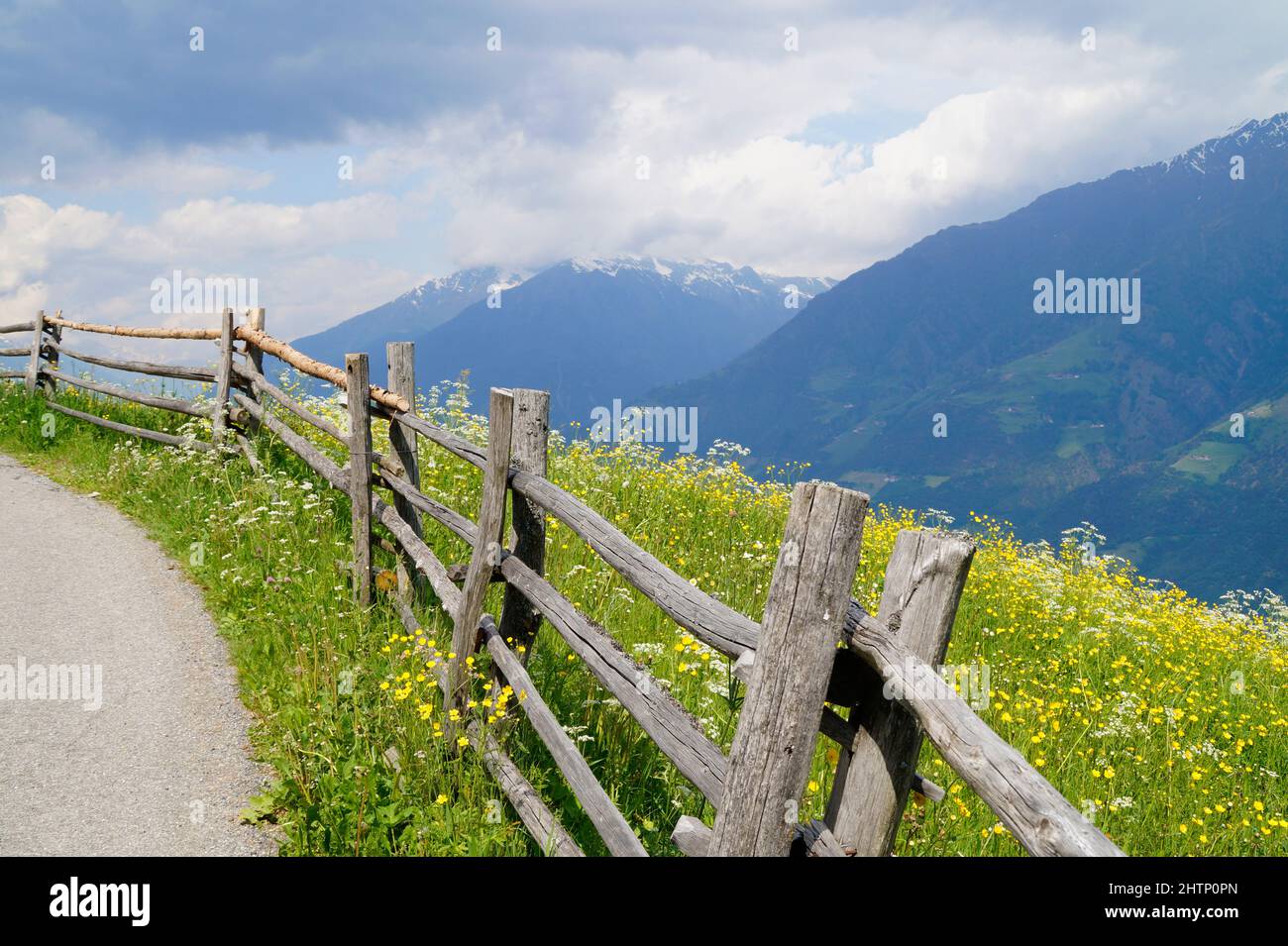 Bellissimo paesaggio montano nelle Alpi italiane ad Aschbach, Vinschgau (Italia, Alto Adige) Foto Stock