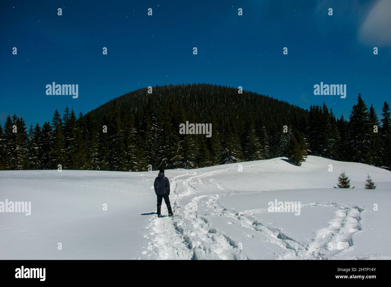 turista sullo sfondo del paesaggio invernale notturno, notte gelida Foto Stock