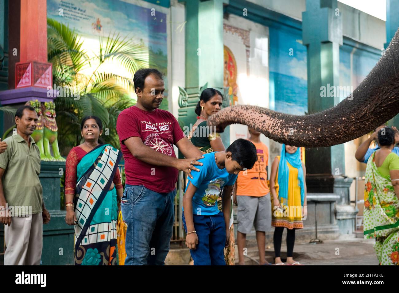 PONDICHERRY, India - Luglio 2016: L'elefante Lakshmi al Tempio di Manakula Vinayagar nella città bianca di Pondicherry. Lei è incatenata lì per benedire p Foto Stock