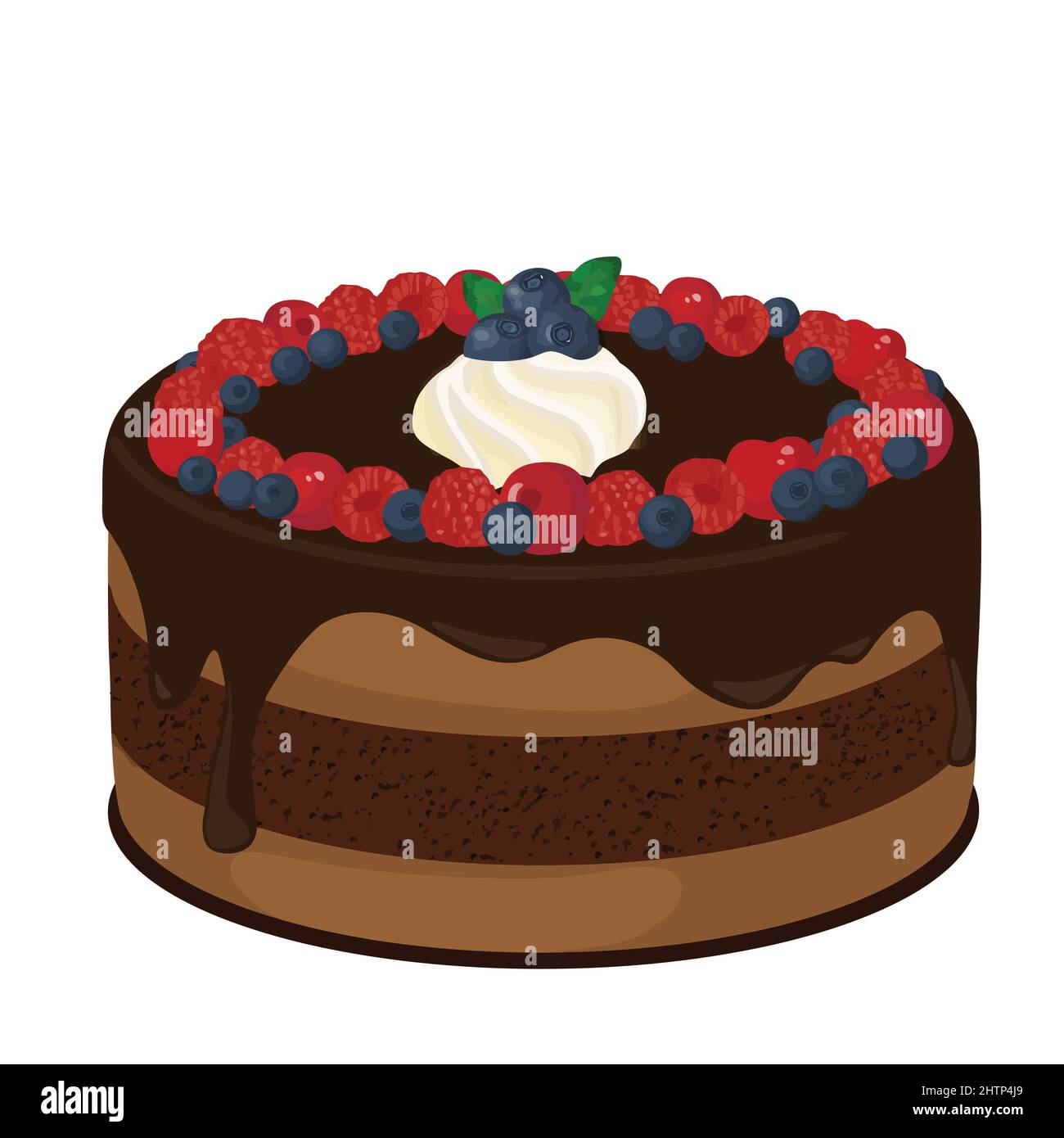 Torta con bacche fresche e cioccolato su sfondo bianco, illustrazione vettoriale Illustrazione Vettoriale