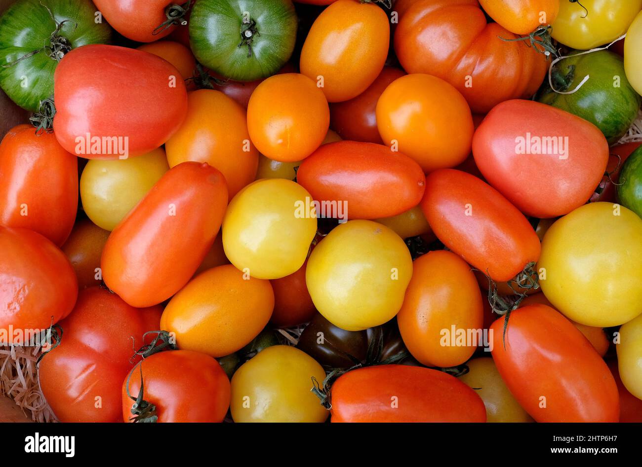 selezione di pomodori colorati del patrimonio Foto Stock