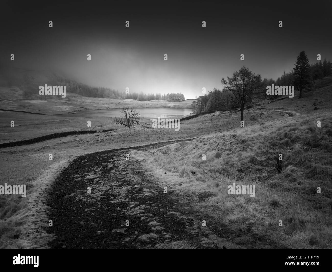 Un'immagine infrarossa di Blea Tarn nel Parco Nazionale del Distretto del Lago, Cumbria, Inghilterra. Foto Stock