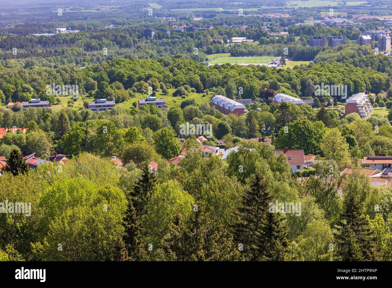 Zona residenziale dall'alto con lussureggianti alberi verdi Foto Stock