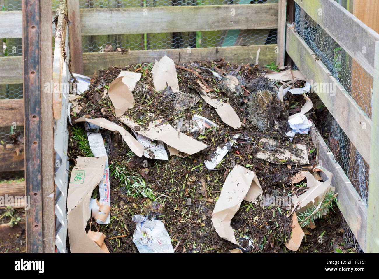 Frammenti di carta sono stati aggiunti ad un grande cumulo di compost anaerobico (freddo) a casa recentemente trasformato in un cortile a Sydney, nuovo Galles del Sud, Australia Foto Stock