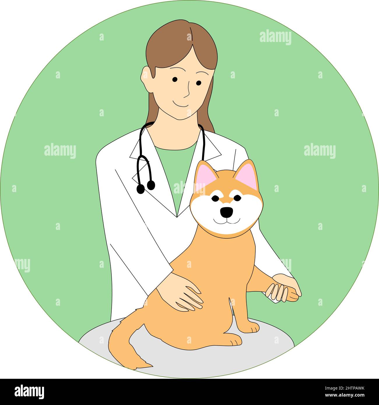 Veterinario donna che esamina uno Shiba Inu con uno sfondo bianco Illustrazione Vettoriale