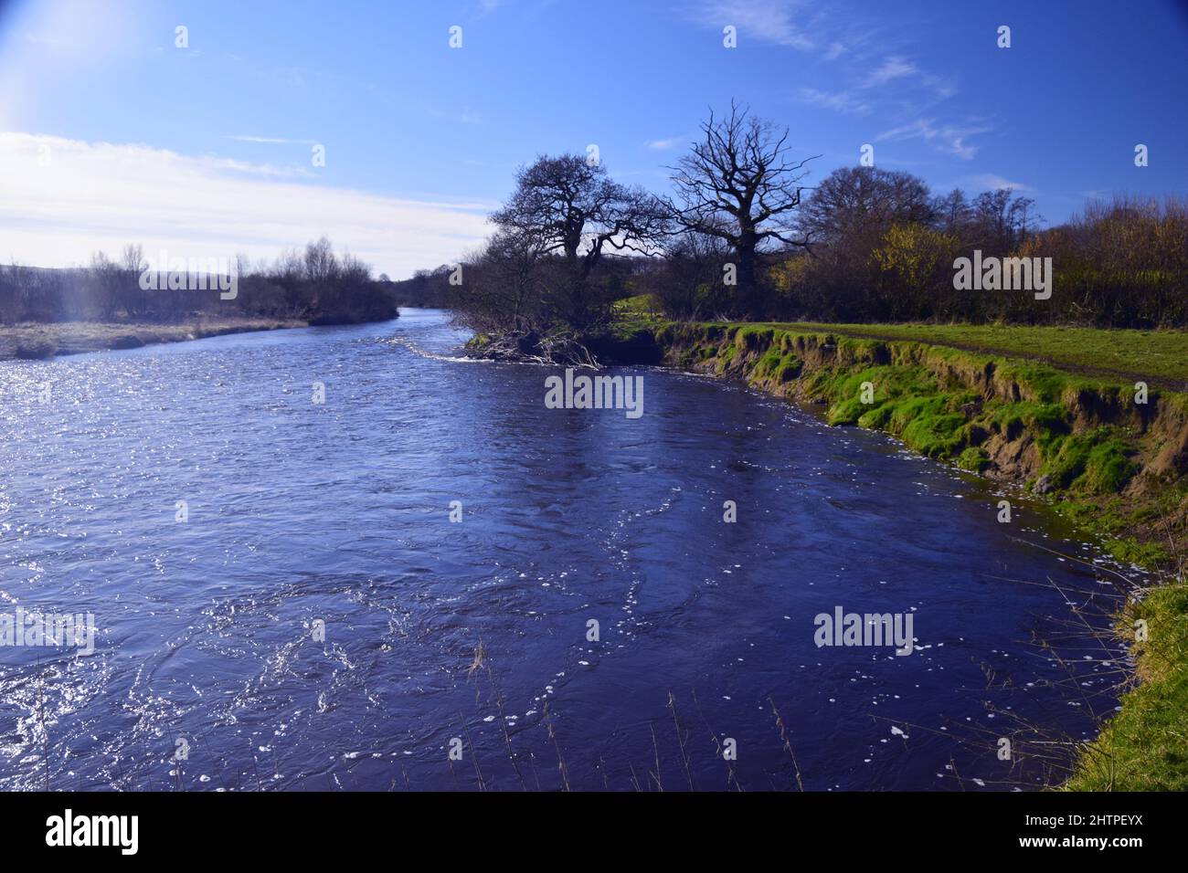 Primo giorno di primavera 1 marzo 2022 e una passeggiata lungo il fiume Lune North Lancashire bagnata dal sole primaverile. Foto Stock