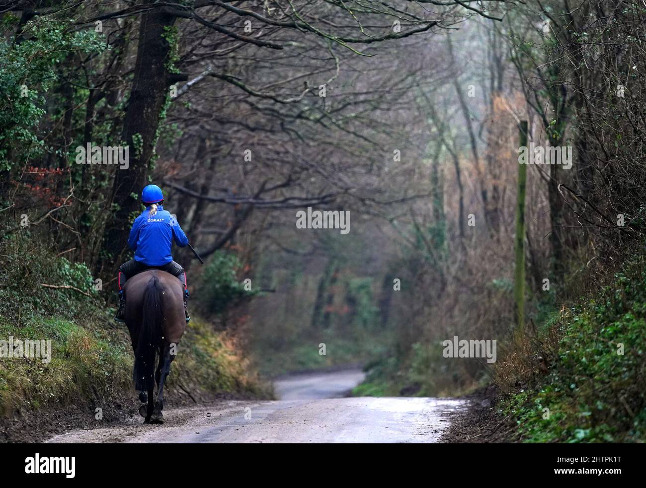 Un cavallo si porta alle galoppie durante una visita al Colin Tizzard e al cantiere di Joe Tizzard presso la Spurles Farm, Somerset. Data foto: Mercoledì 2 marzo 2022. Foto Stock