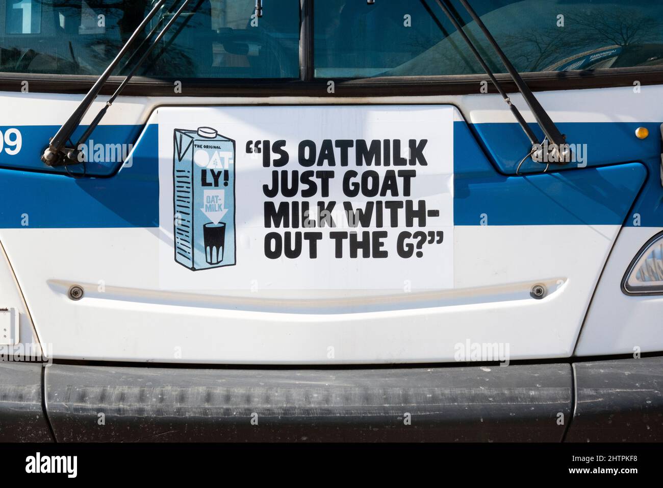 Un divertente e irriverente annuncio di latte di Oatly oat sulla parte anteriore di un autobus di New York City nel Queens New York City. Foto Stock