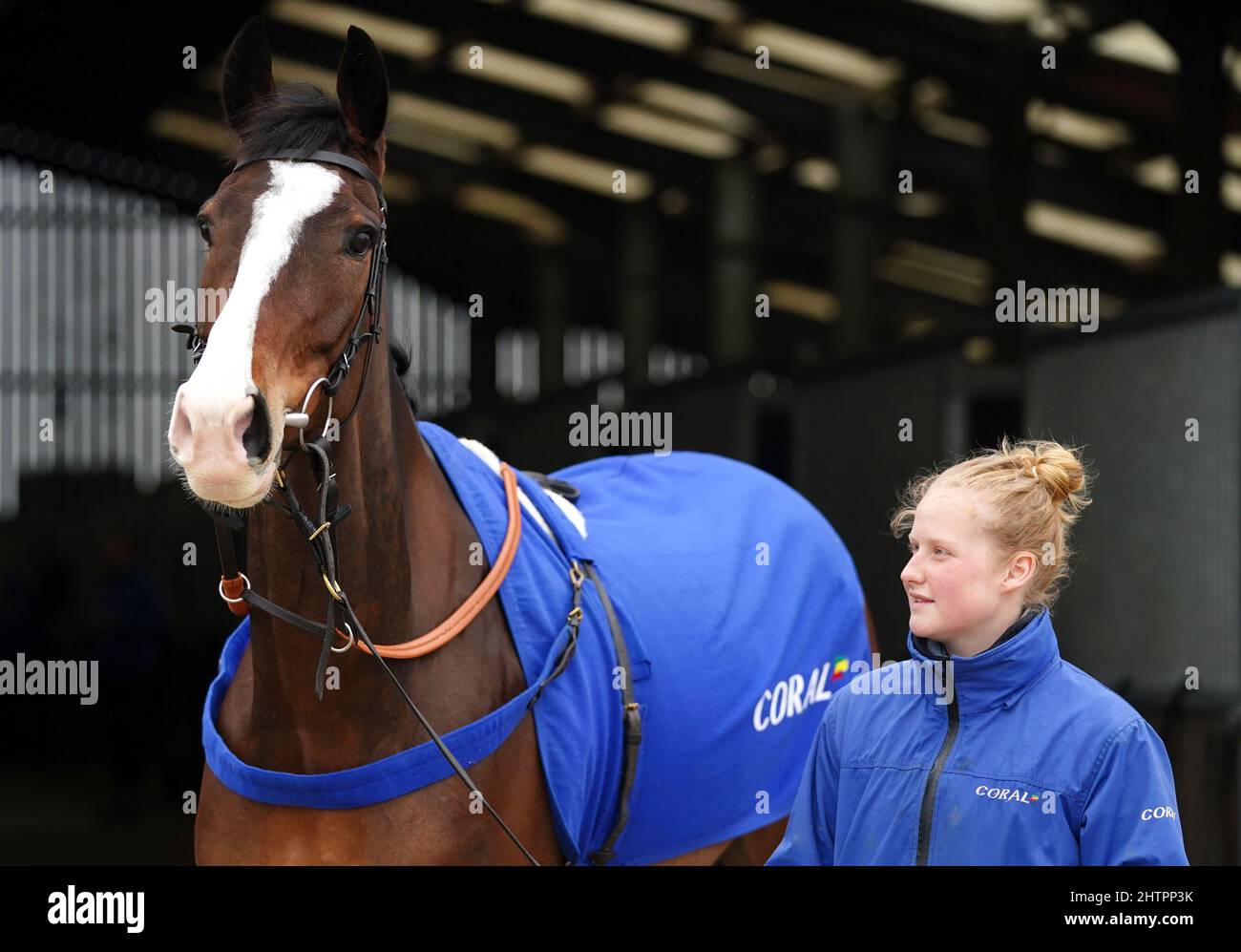 Horse Oscar Elite durante una visita a Colin Tizzard e Joe Tizzard's Yard a Spurles Farm, Somerset. Data foto: Mercoledì 2 marzo 2022. Foto Stock