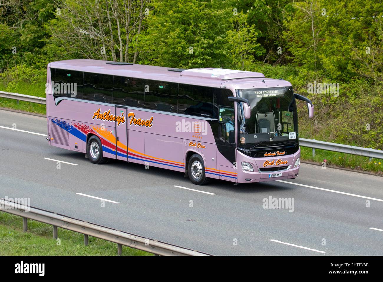 Anthony's Coach Travel Club Class rosa MAN CO 19,420 12419cc 5 manuale di velocità; tour in pullman, itinerari in autobus, contratti scolastici, noleggio privato, escursioni giornaliere e viaggi vacanze passeggeri sul M61. Foto Stock