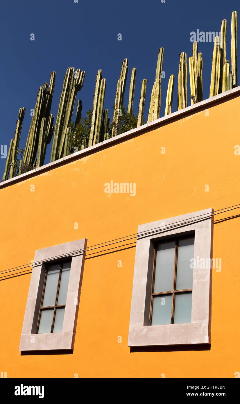 Messico, Stato di Guanajuato, San Miguel de Allende, colorati edifici dell'epoca coloniale spagnola che costeggiano una strada Foto Stock