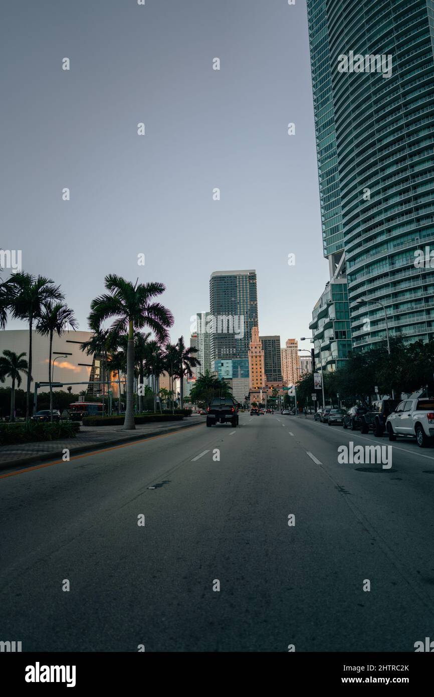Bella vista di una strada con palme a Miami, Florida, Stati Uniti Foto Stock