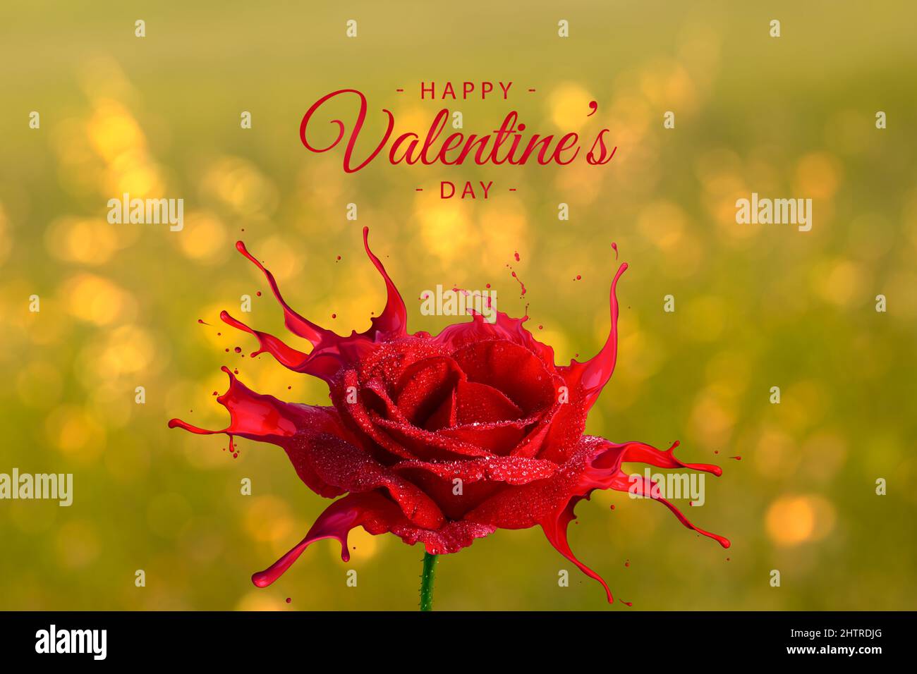 Biglietto di auguri di San Valentino, rosa rossa con spruzzi, coperto di rugiada su sfondo caldo bokeh. Tema di amore Foto Stock