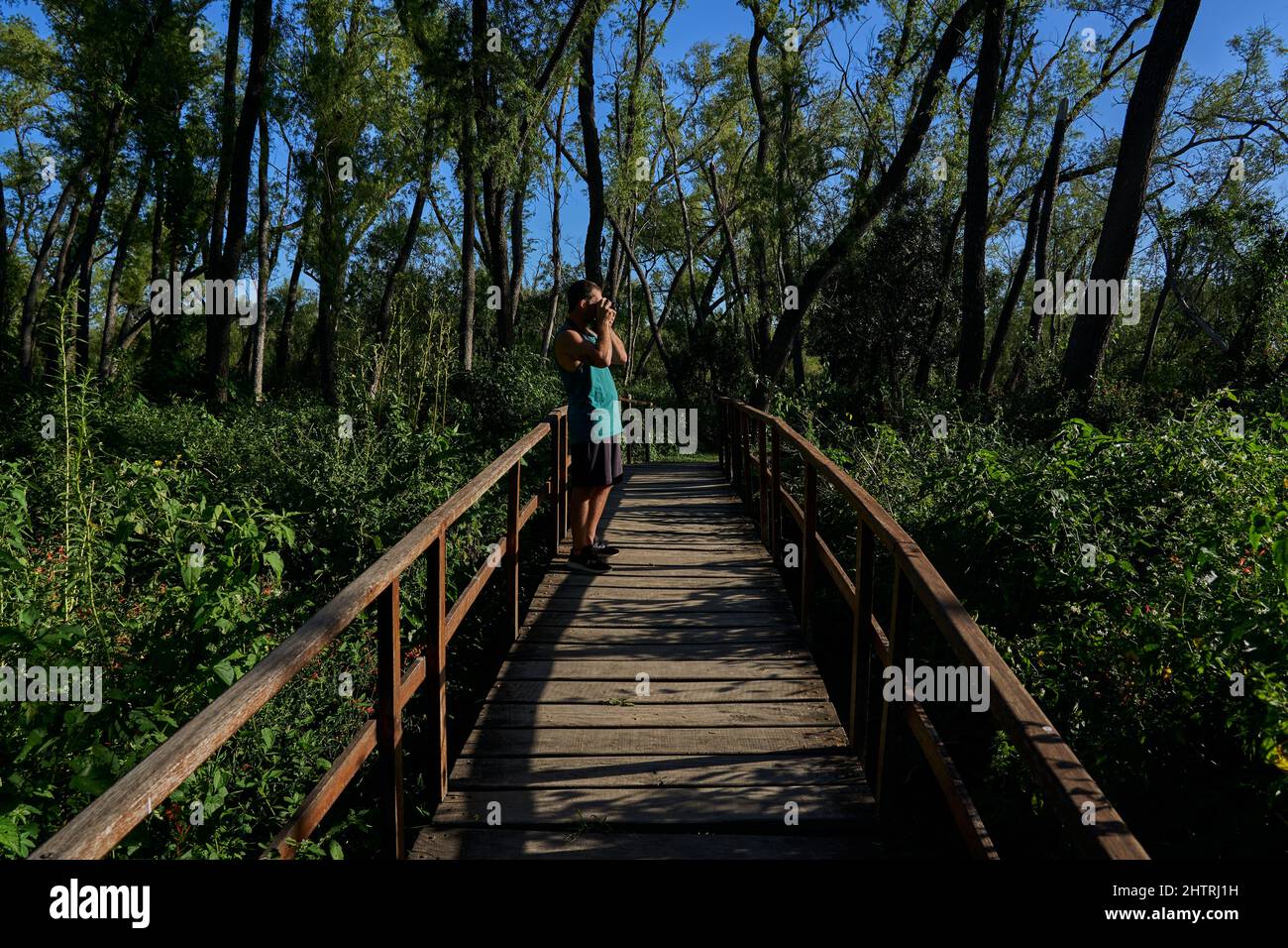 giovane che fotografa in natura con una macchina fotografica d'epoca Foto Stock