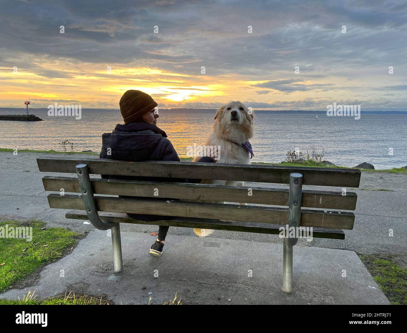 Femmina e il loro cane seduto su una panchina del parco al Golden Gardens Park Foto Stock