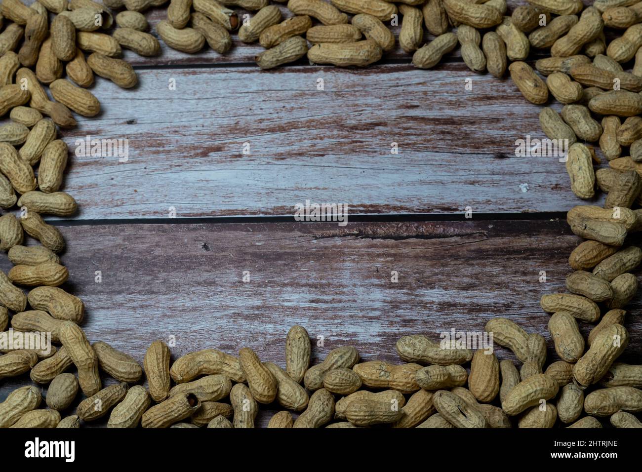 gruppo di arachidi disposte in cerchio Foto Stock