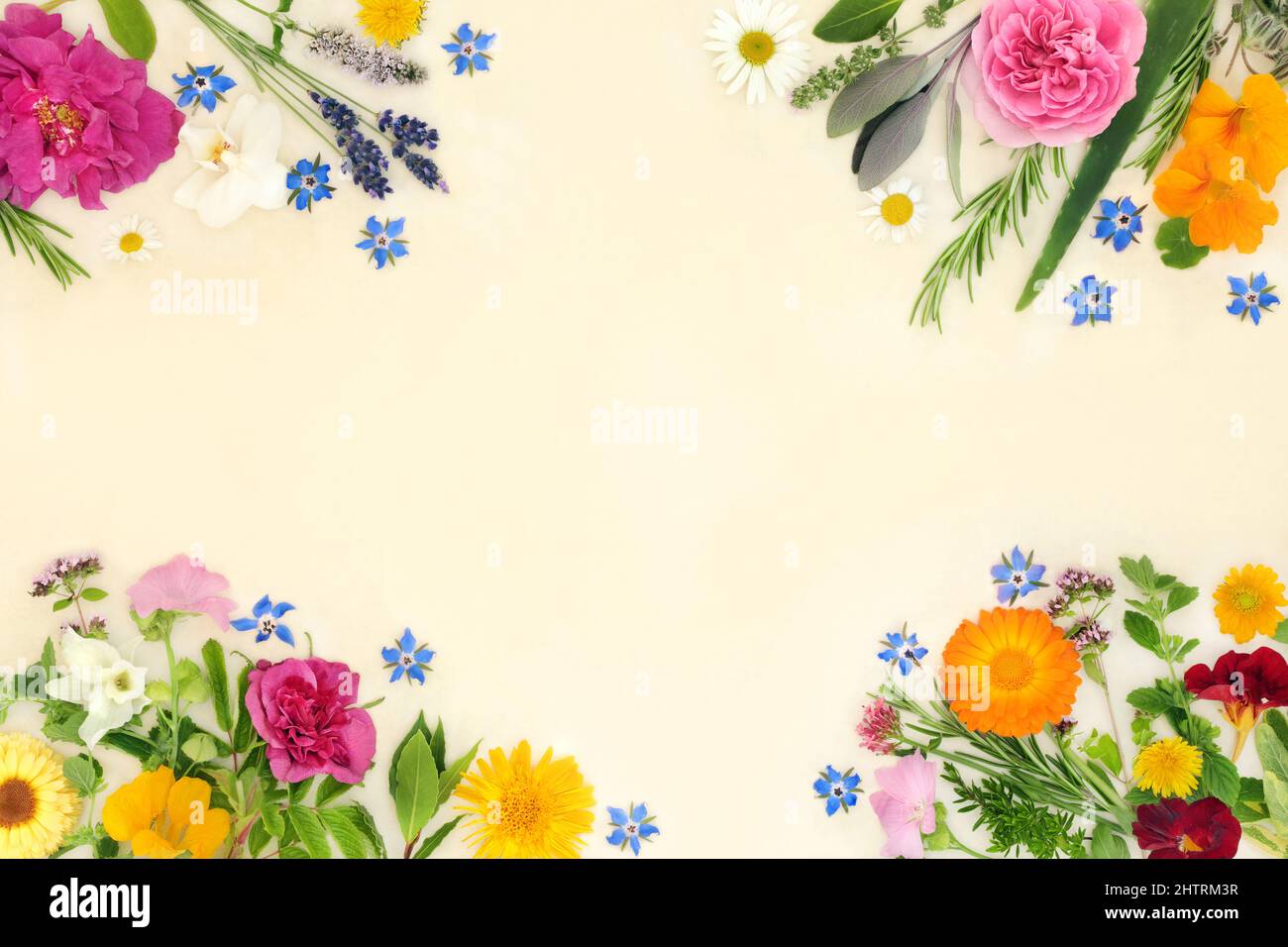 Erbe e fiori per rimedi naturali di guarigione, condimento e decorazione alimentare. Pianta naturale basato natura studio concetto di assistenza sanitaria su carta di canapa retro Foto Stock