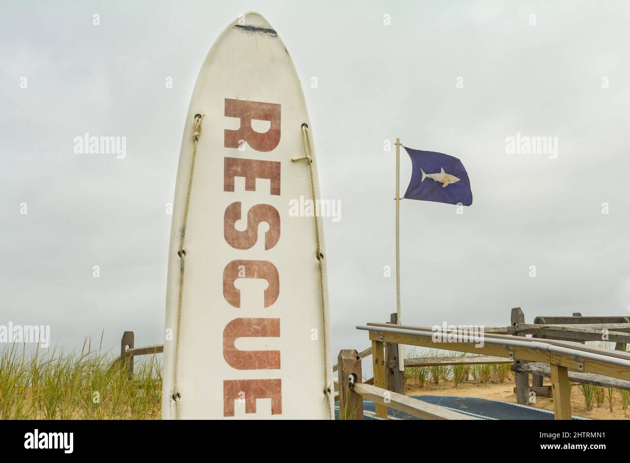 Bandiera di avvertimento dello squalo sulla spiaggia Foto Stock