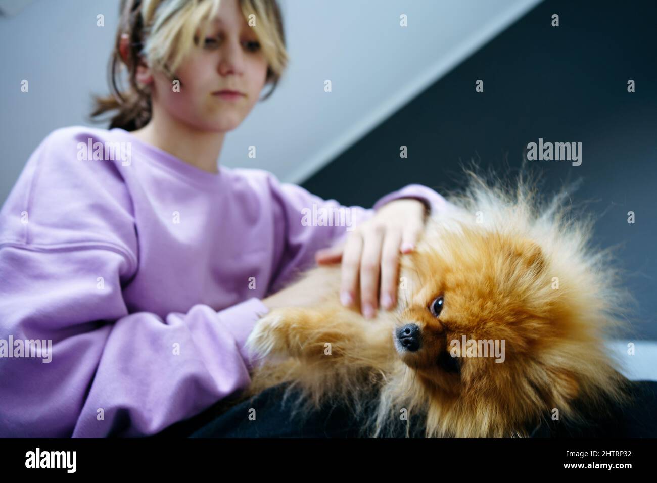 Ragazza teen proprietario che prende cura dei loro animali domestici, alimentando, grooming, gioca con il cane Foto Stock