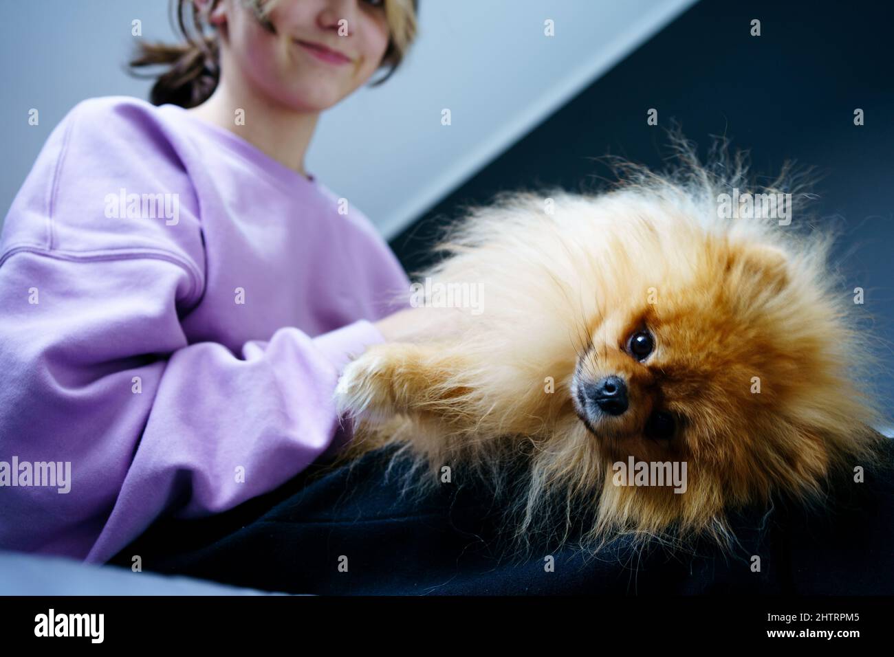 Ragazza teen proprietario che prende cura dei loro animali domestici, alimentando, grooming, gioca con il cane Foto Stock