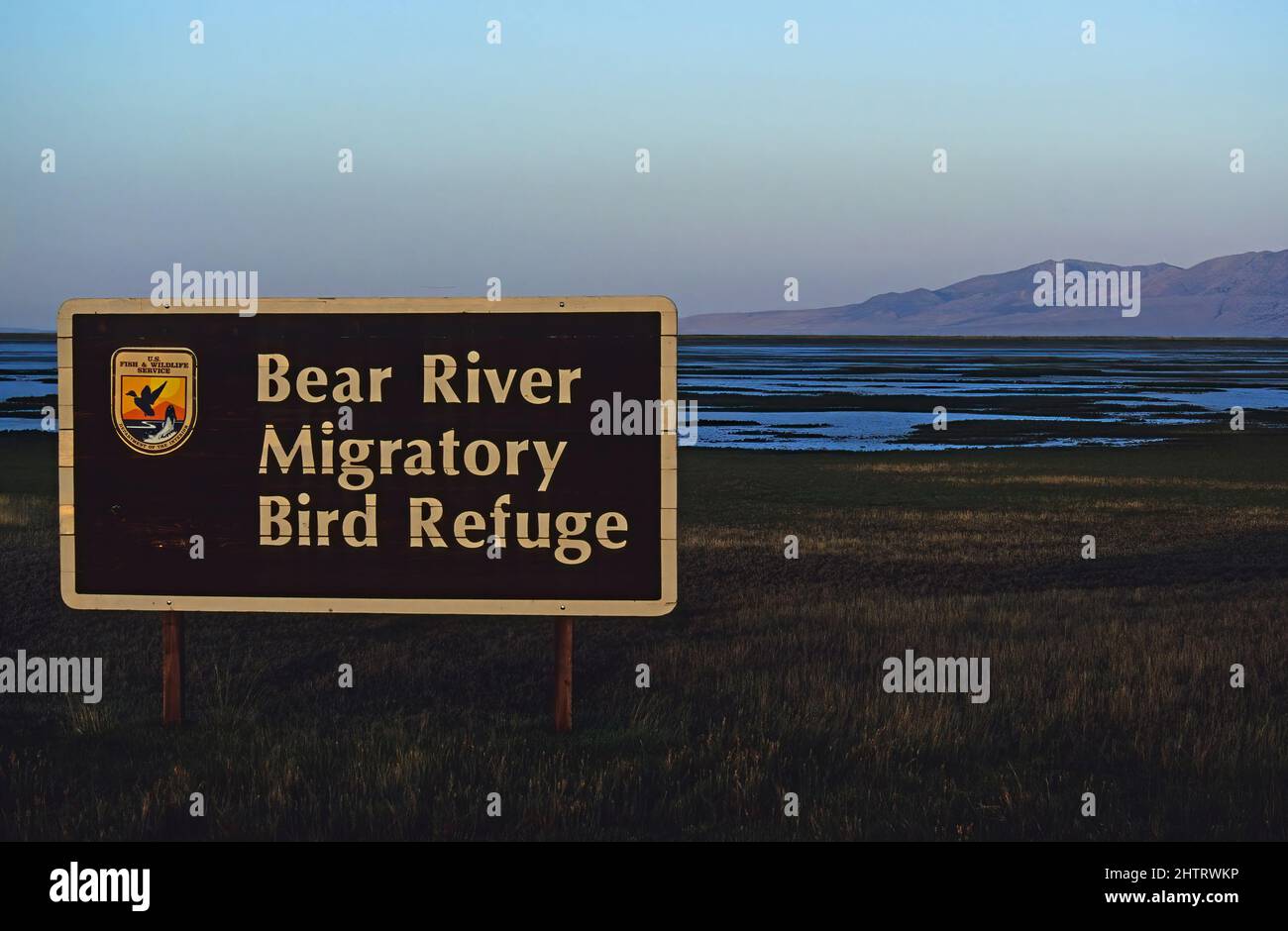 Bear fiume uccello migratore rifugio Foto Stock