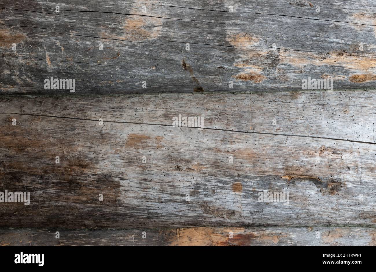 Parete rustica in legno naturale con intemperie, realizzata con struttura in legno a tronco di albero orizzontale. Foto Stock