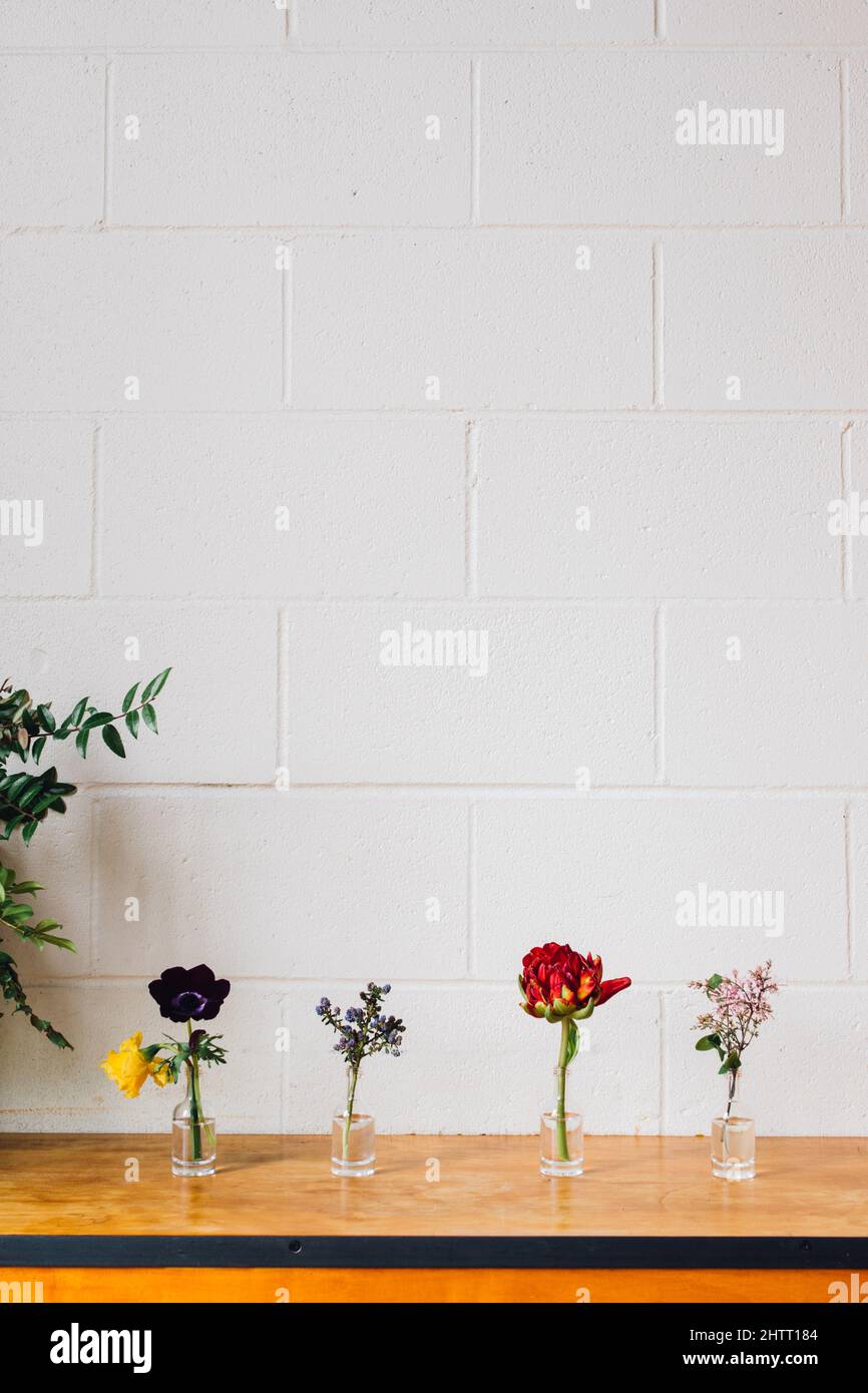 fiori floreali rossi, viola, lilla, gialli in piccole bottiglie di liquore contro muro di mattoni bianchi. spazio copia. Foto Stock