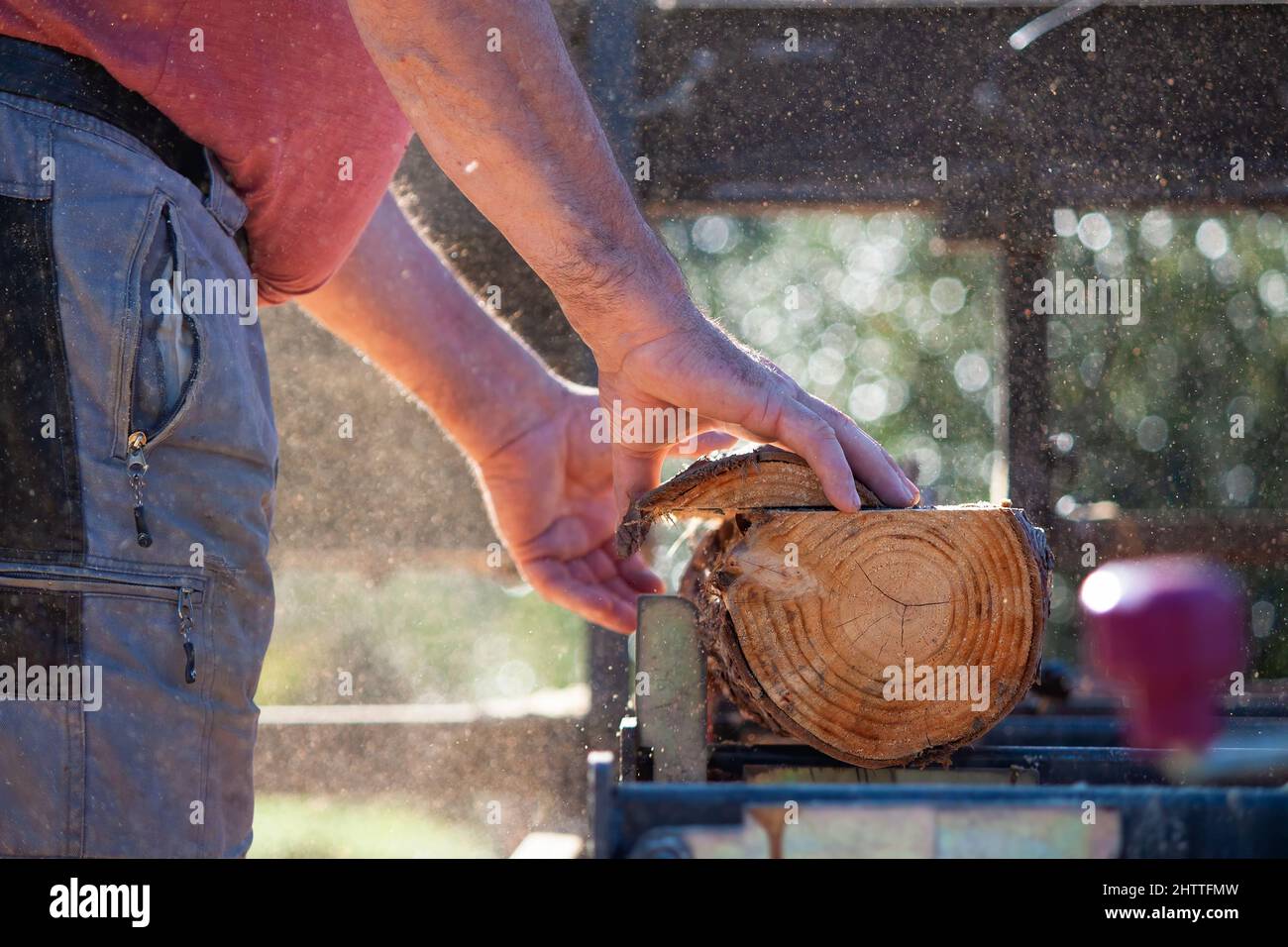uomo più anziano che lavora come un falegname che tira le tavole da un ceppo nella sua segheria mobile. un handyman esperto. Copia spazio. Segatura nell'aria Foto Stock