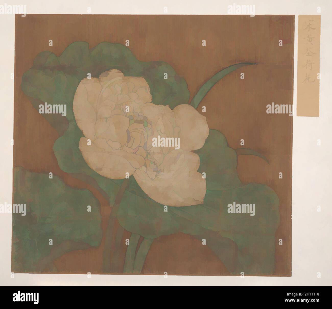 Arte ispirata al loto, dinastia Ming (?) (1368–1644), Cina, copertina dell'album; inchiostro e colore su seta, 8 3/4 x 9 1/2 pollici (22,2 x 24,1 cm), dipinti, artista non identificato, Copia dopo (?) Huang Qüan (cinese, attivo ca. 950, opere classiche modernizzate da Artotop con un tuffo di modernità. Forme, colore e valore, impatto visivo accattivante sulle emozioni artistiche attraverso la libertà delle opere d'arte in modo contemporaneo. Un messaggio senza tempo che persegue una nuova direzione selvaggiamente creativa. Artisti che si rivolgono al supporto digitale e creano l'NFT Artotop Foto Stock