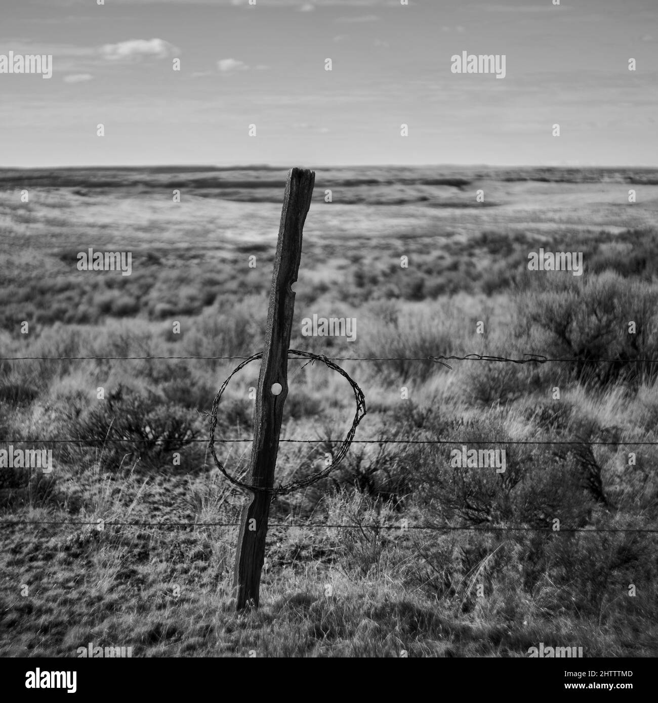 Colpo bianco e nero di una recinzione con filo spinato e un palo di legno in un campo Foto Stock