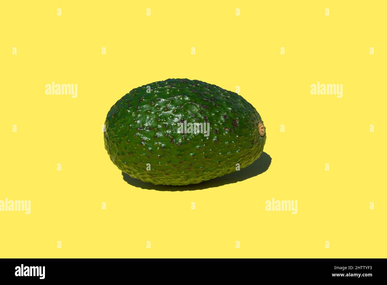 Avocado Hass intero non tagliato con sfondo giallo Foto Stock