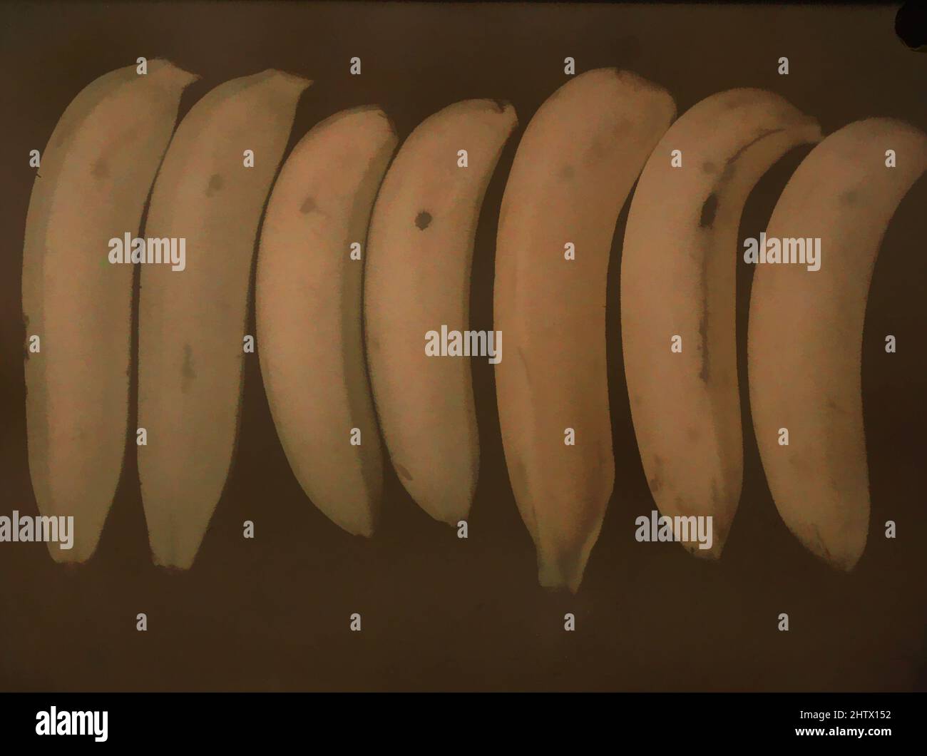 Arte ispirata alle banane, ca. 1908, Autochrome, 8,2 x 10,7 cm (3 1/4 x 4 1/4 pollici), lucidi, Frederick Dellenbaugh (americano, 1853–1935, opere classiche modernizzate da Artotop con un tuffo di modernità. Forme, colore e valore, impatto visivo accattivante sulle emozioni artistiche attraverso la libertà delle opere d'arte in modo contemporaneo. Un messaggio senza tempo che persegue una nuova direzione selvaggiamente creativa. Artisti che si rivolgono al supporto digitale e creano l'NFT Artotop Foto Stock