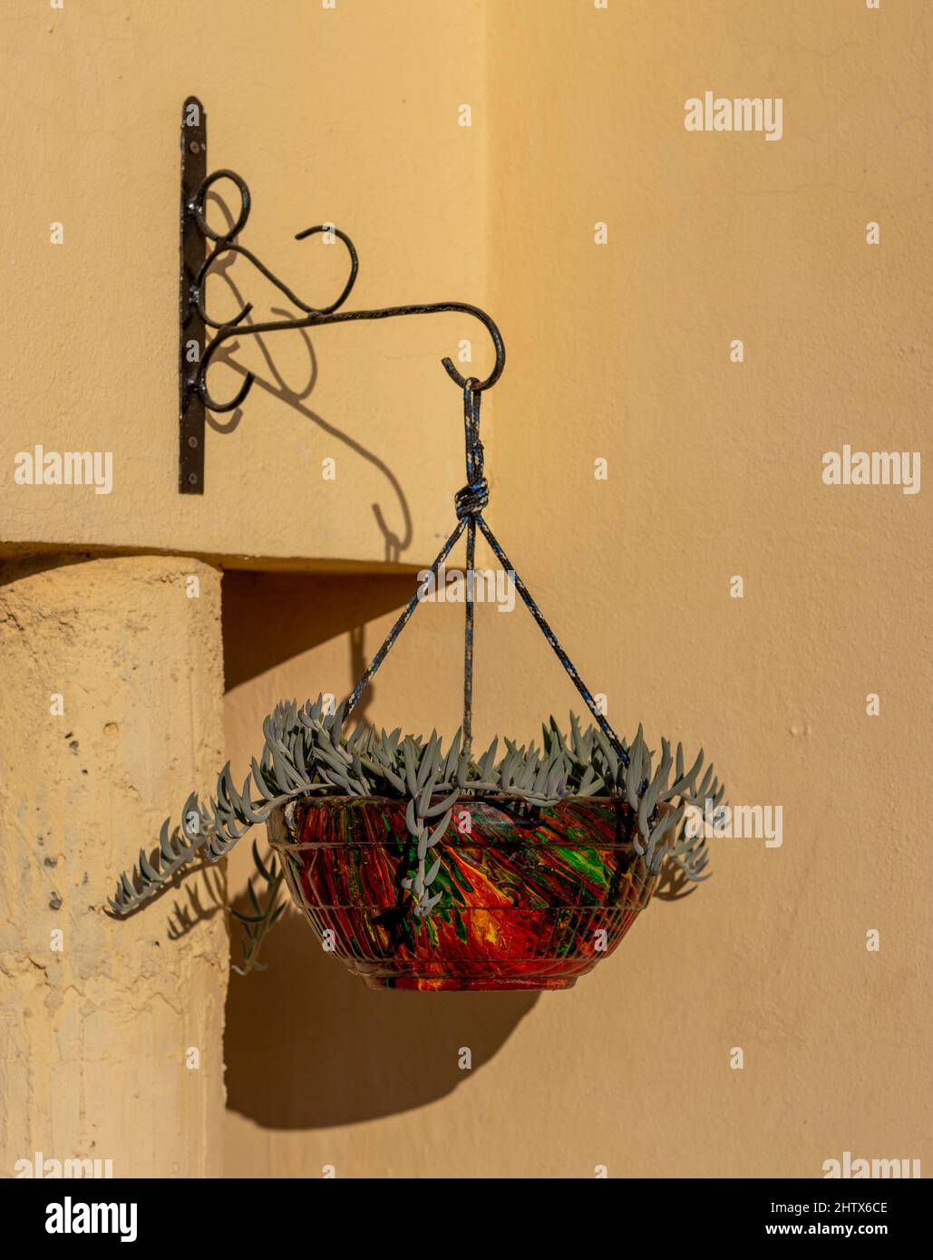 Stringa di banane succulente in una pentola appesa Foto Stock