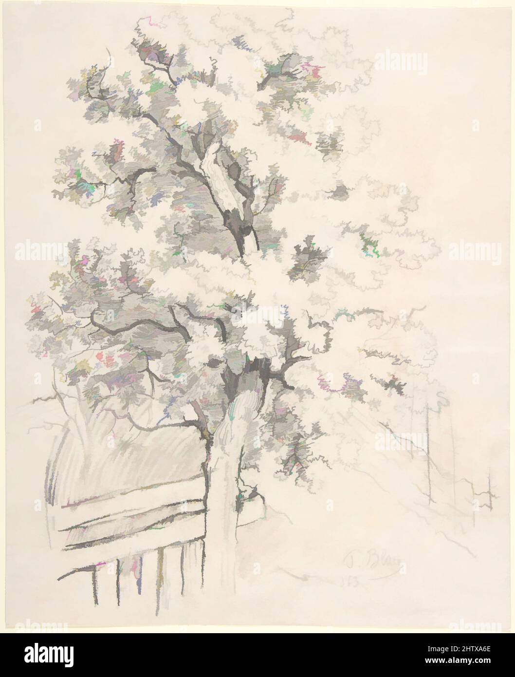 Arte ispirata allo Studio di un albero, 1863, gesso nero, 10 1/16 x 8 1/8 poll. (25,6 x 20,7 cm), disegni, Tina Blau (Austria, Vienna 1845–1916 Vienna, opere classiche modernizzate da Artotop con un tuffo di modernità. Forme, colore e valore, impatto visivo accattivante sulle emozioni artistiche attraverso la libertà delle opere d'arte in modo contemporaneo. Un messaggio senza tempo che persegue una nuova direzione selvaggiamente creativa. Artisti che si rivolgono al supporto digitale e creano l'NFT Artotop Foto Stock