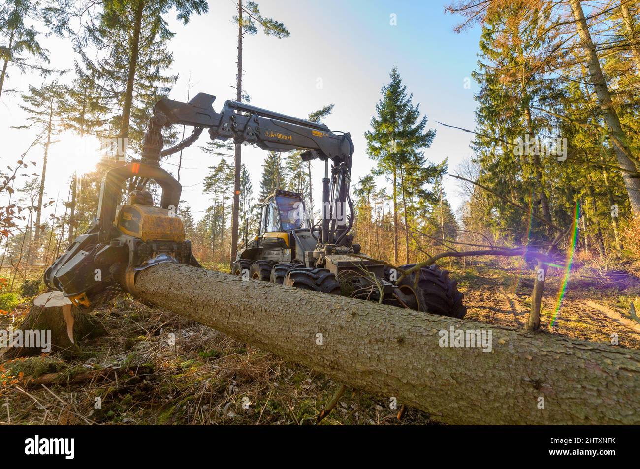 Oechtringen, Germania. 02nd Mar 2022. Una mietitrice viene utilizzata per tagliare e lavorare alberi che sono stati abbattuti dalle tempeste. Le tempeste delle ultime settimane hanno distrutto un po' nelle foreste. Prima che le temperature salgano in primavera e il coleottero della corteccia rimbalza sugli alberi di abete caduti, devono essere eliminati. Credit: Mars/dpa/Alamy Live News Foto Stock