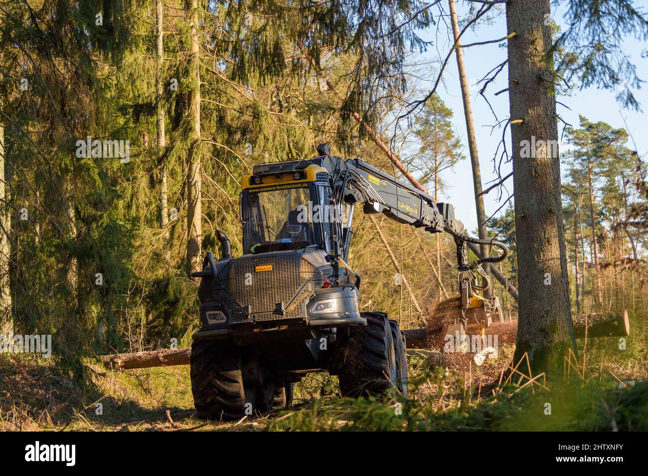 Oechtringen, Germania. 02nd Mar 2022. Una mietitrice viene utilizzata per tagliare e lavorare alberi che sono stati abbattuti dalle tempeste. Le tempeste delle ultime settimane hanno distrutto un po' nelle foreste. Prima che le temperature salgano in primavera e il coleottero della corteccia rimbalza sugli alberi di abete caduti, devono essere eliminati. Credit: Mars/dpa/Alamy Live News Foto Stock