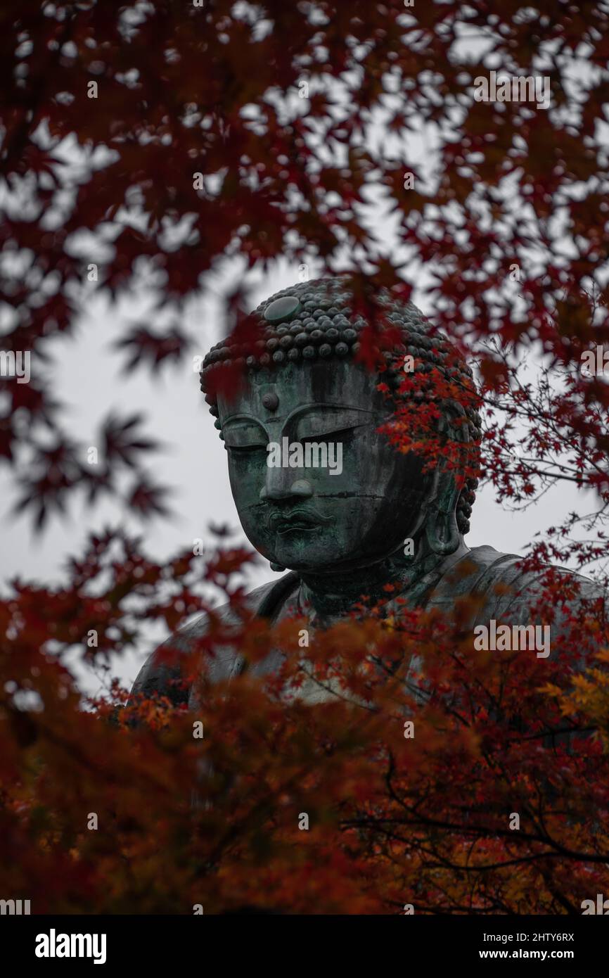 Colpo verticale della statua del buddha dietro le foglie d'arancio in Giappone Foto Stock