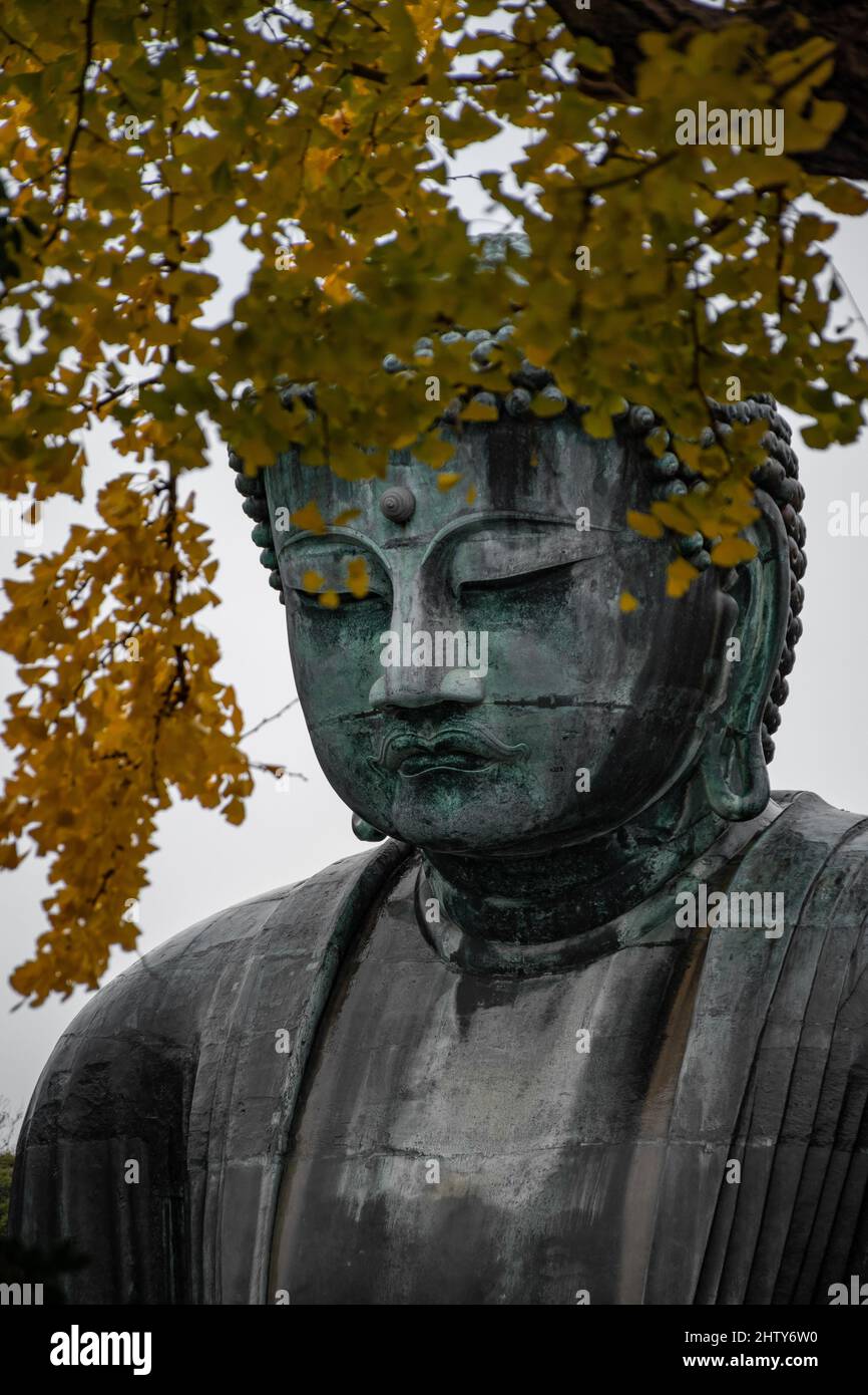 Colpo verticale della statua del buddha dietro le foglie gialle in Giappone Foto Stock
