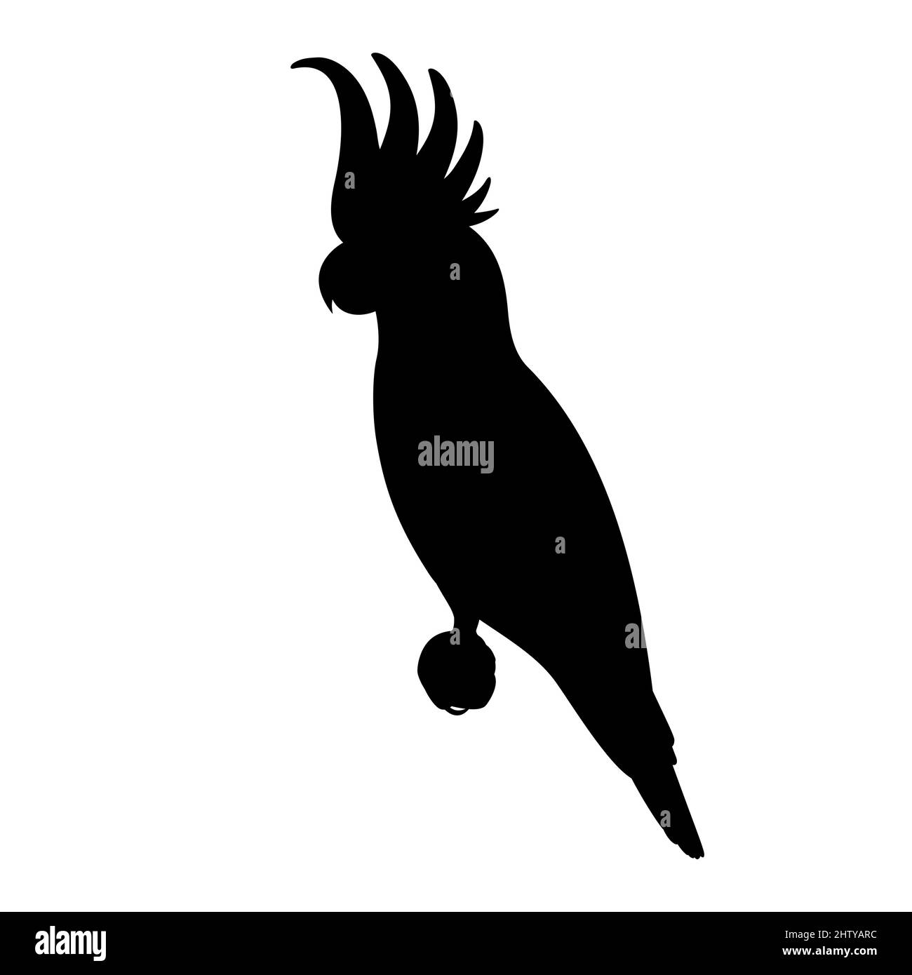 Silhouette di un pappagallo cockatoo. Illustrazione vettoriale di una silhouette nera di un pappagallo cockatoo isolato su sfondo bianco. Logo, vista laterale. Illustrazione Vettoriale