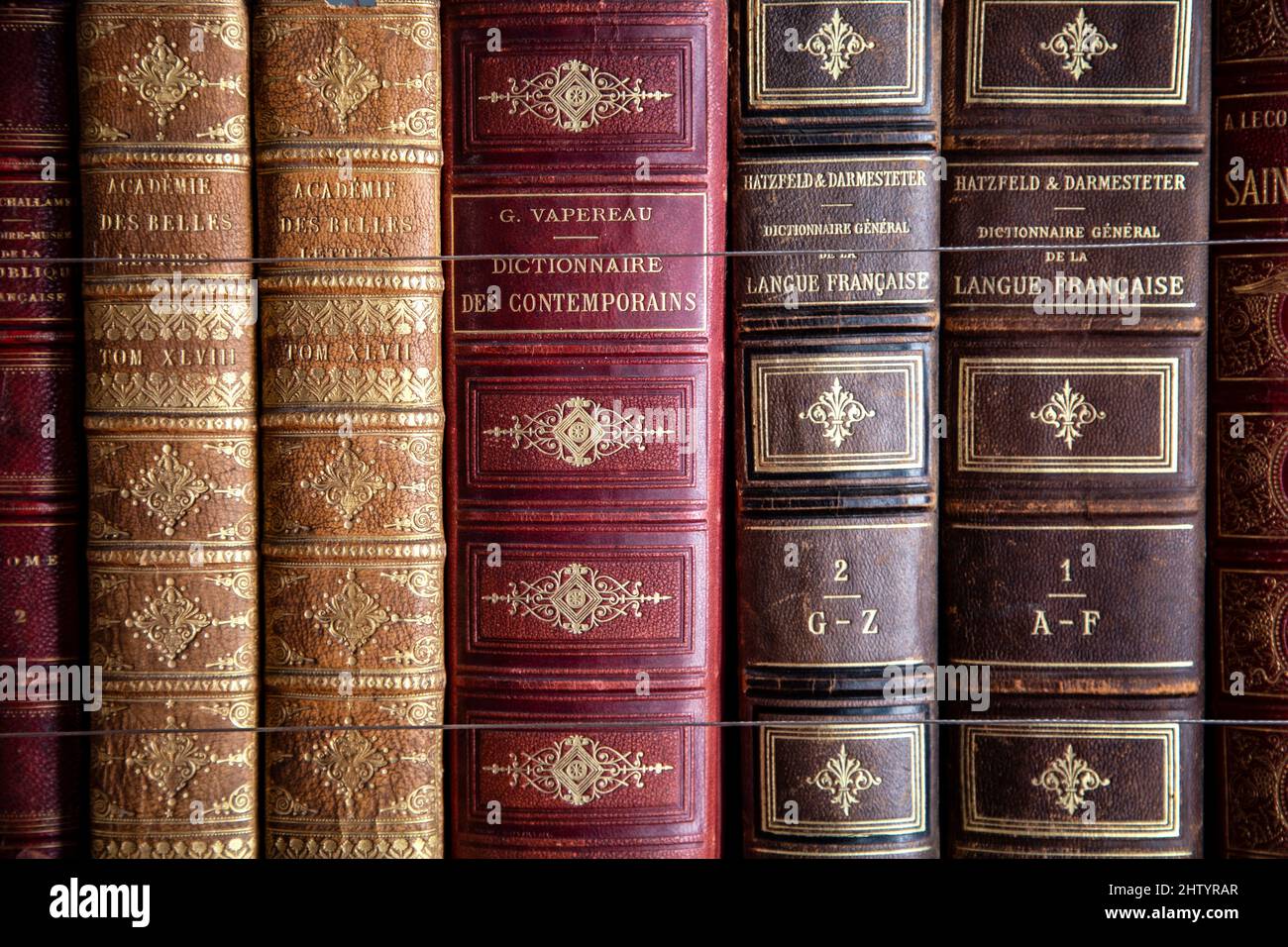 Vecchi libri rilegati in pelle ricoperti di lamina d'oro (Library, Wrest House, Wrest Park, Bedfordshire, UK) Foto Stock