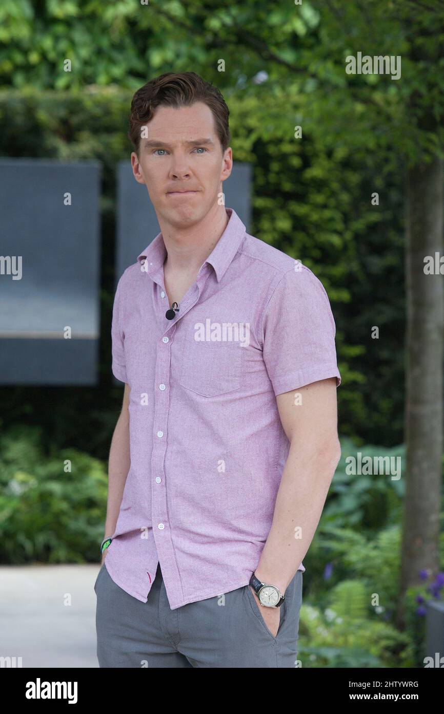 Benedetto Cumberbatch al Chelsea Flower Show 2014 Foto Stock