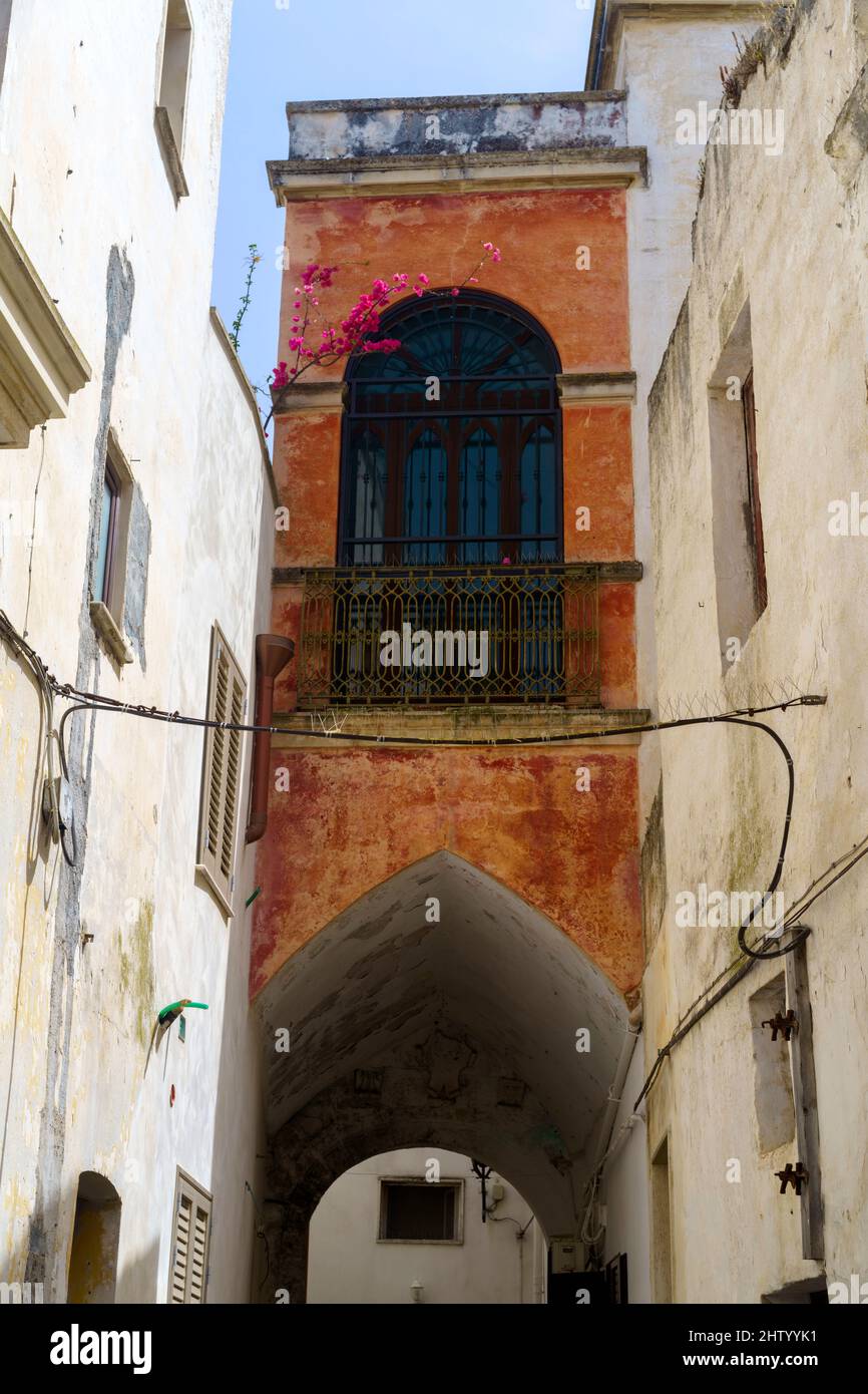 Nardò, città storica in provincia di Lecce, Puglia, Italia. Strada tipica Foto Stock