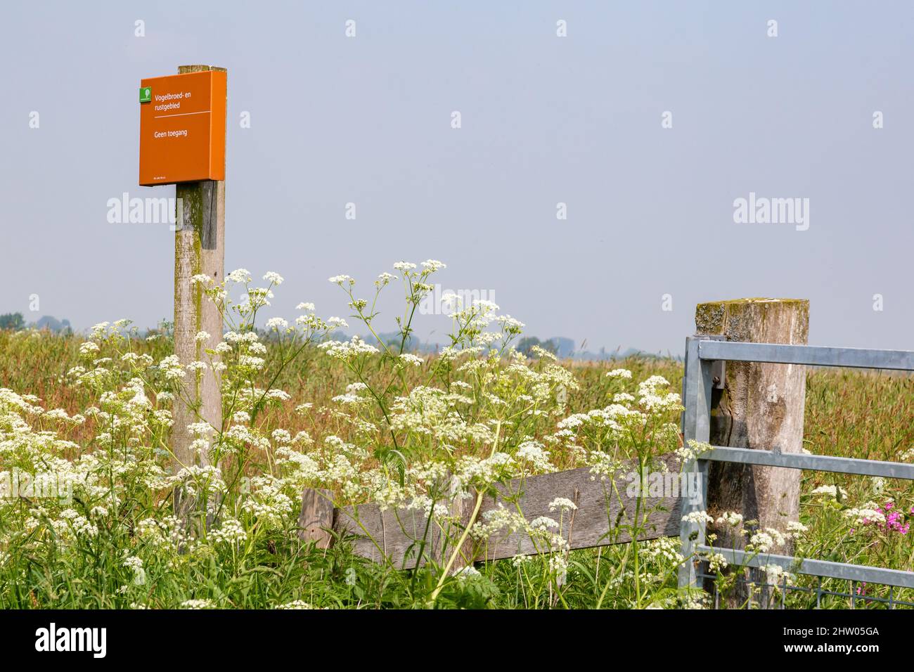 Leek, The Netehralnds - 4 giugno 2021: No ingresso segno allevamento e zona di riposo nella riserva naturale De Onlanden con laghetto e fiori selvatici in fiore vicino Groningen città Paesi Bassi Foto Stock