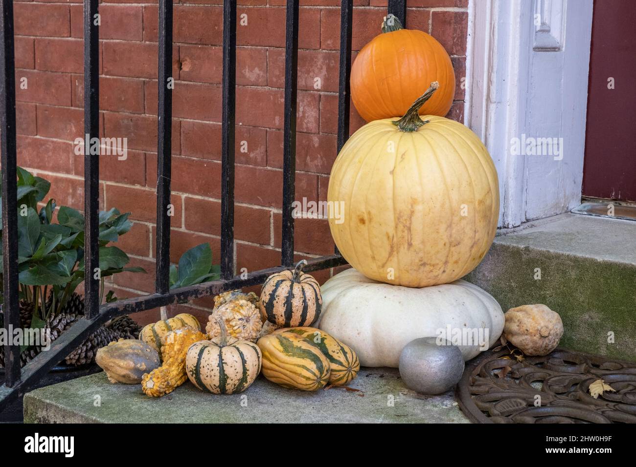 Halloween decorazioni, Città Vecchia, Alessandria, Virginia, Stati Uniti. Foto Stock