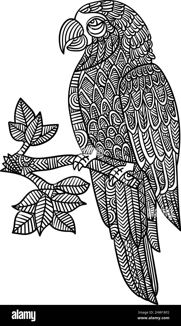 Pappagallo Mandala colorazione pagine per adulti Illustrazione Vettoriale