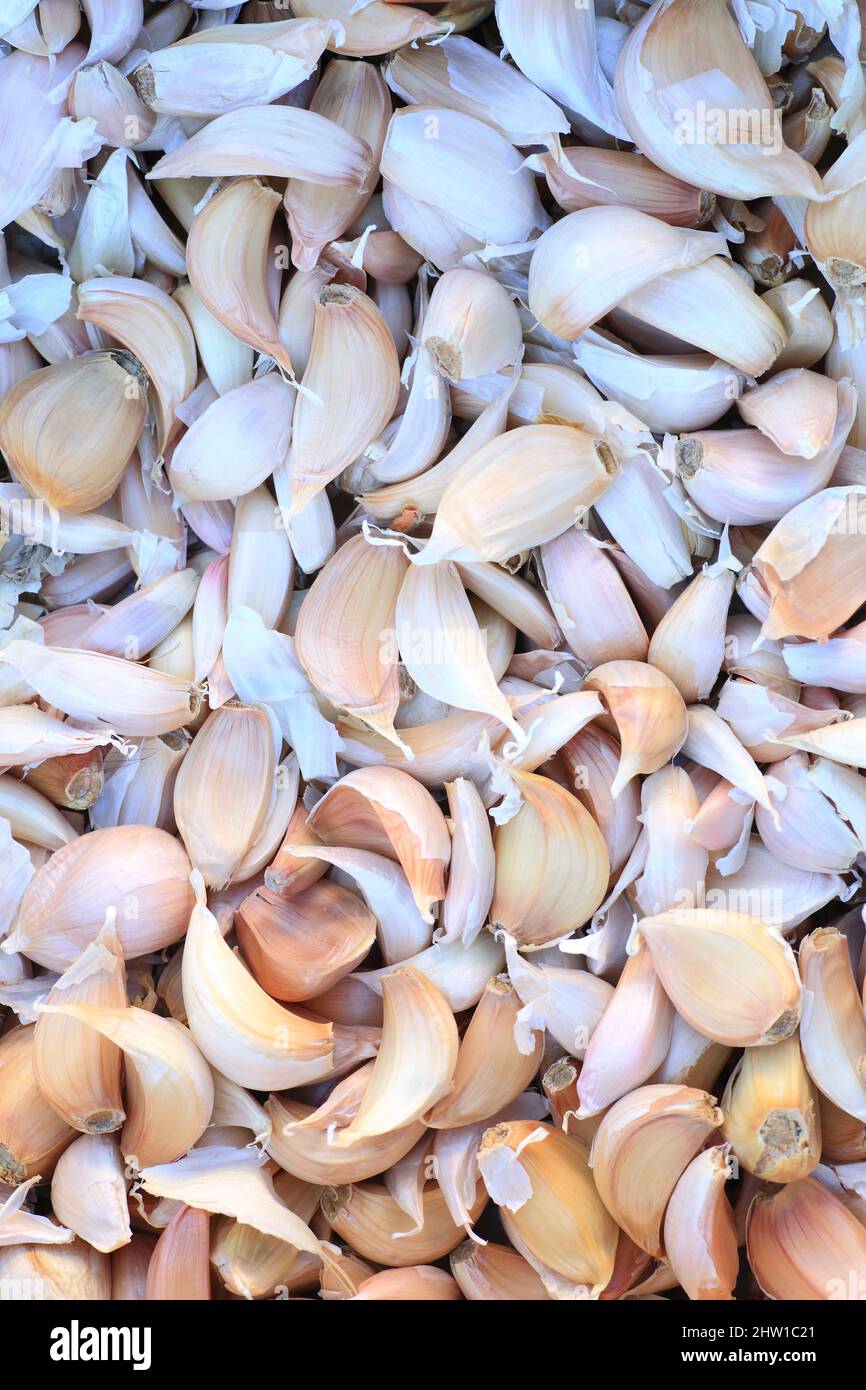 Francia, Bouches du Rhone, Trets, aglio biologico spicchi sul mercato Foto Stock