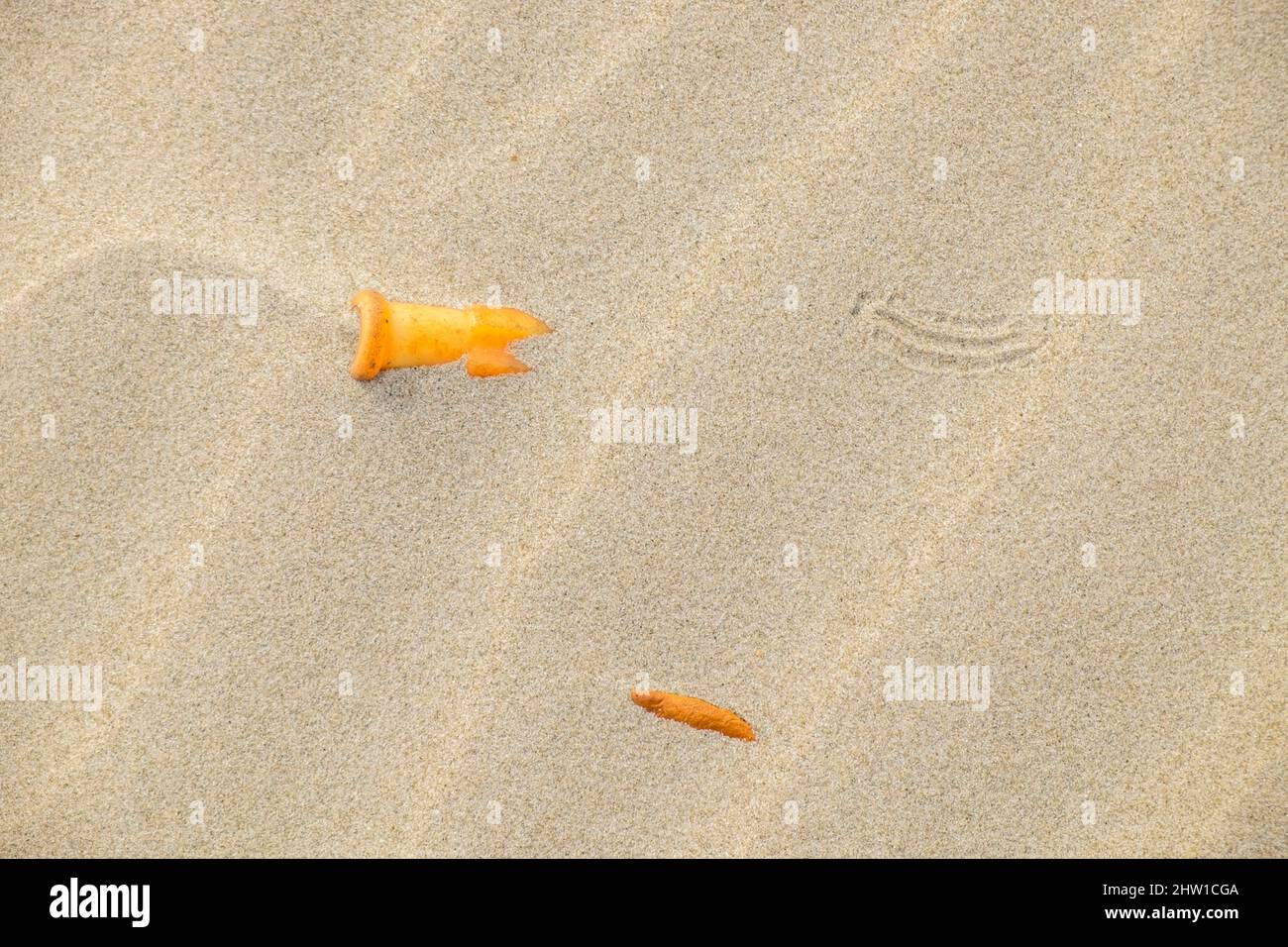 Guinee Bissau, inquinamento delle spiagge dell'arcipelago delle Isole Bijagos classificato come Riserva della Biosfera dall'UNESCO, Isola di Orango, Parco Nazionale di Orango Foto Stock