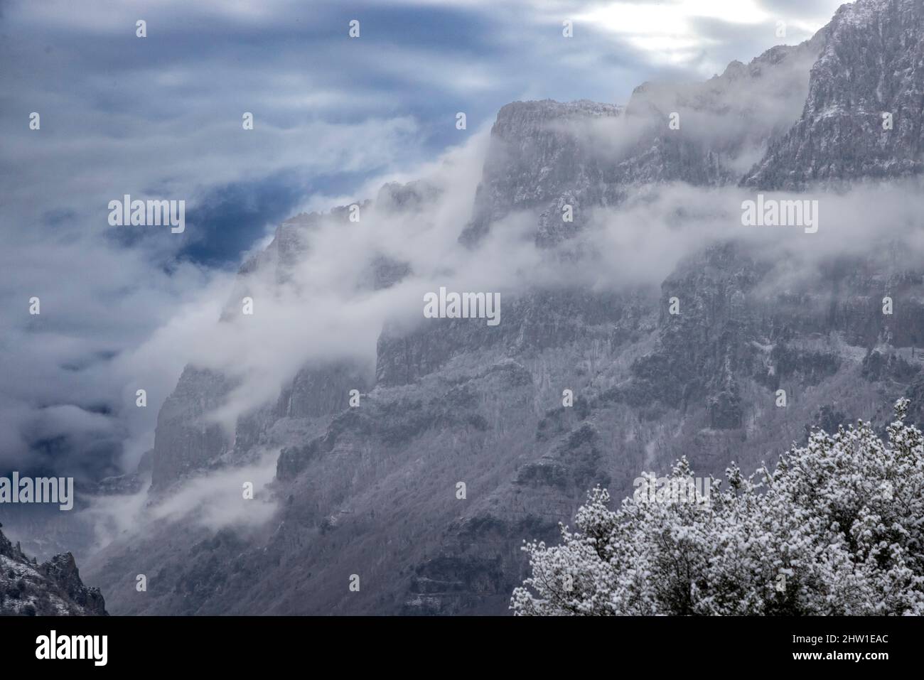 Grecia, regione Epirus, Monti Zagorohoria, Vikos-AOos Gorge National Park (le gole più profonde del mondo), Vikos Foto Stock